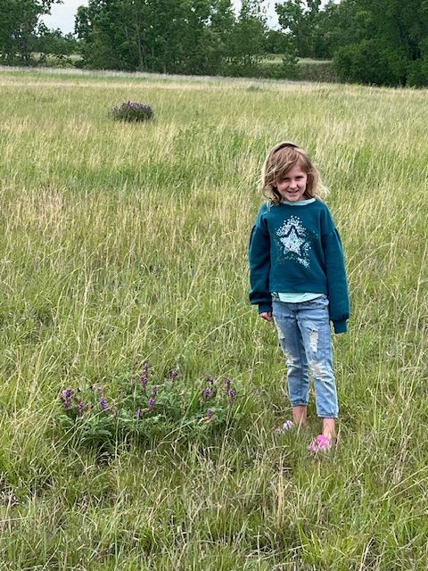 Child standing in a wide grassy field in North Dakota, facing the horizon under a big open sky, capturing a moment of quiet wonder and freedom.