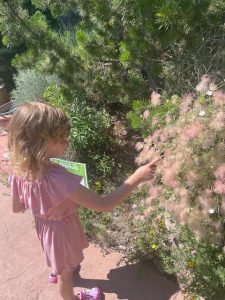 Young girl explores the Denver Botanic Gardens with a scavenger hunt sheet in hand. She gently touches a leafy green plant while checking off an item on her list, fully engaged in the hands-on nature activity.