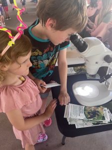 Young boy peers into a microscope to examine insects at a vendor event in the Denver Botanic Gardens, while his sister stands nearby wearing handmade bug antennae from a craft activity. Both are fully immersed in the hands-on science and creativity experience.