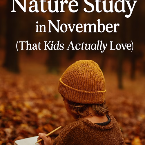 Child in a mustard knit hat and brown fleece jacket sits on a forest floor covered in autumn leaves, sketching in a notebook. Warm sunlight filters through tall trees with orange foliage. Overlay text reads: “The Gentle Way to Do Nature Study in November (That Kids Actually Love)” in white serif font. The scene evokes curiosity, emotional safety, and seasonal rhythm.